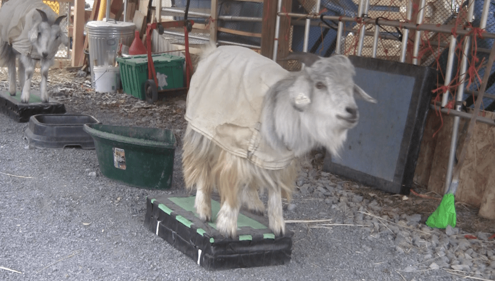 E and P on platforms 12:9:17.png