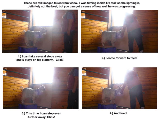 E learning to lead Day 5 platforms panel 4 photos .png