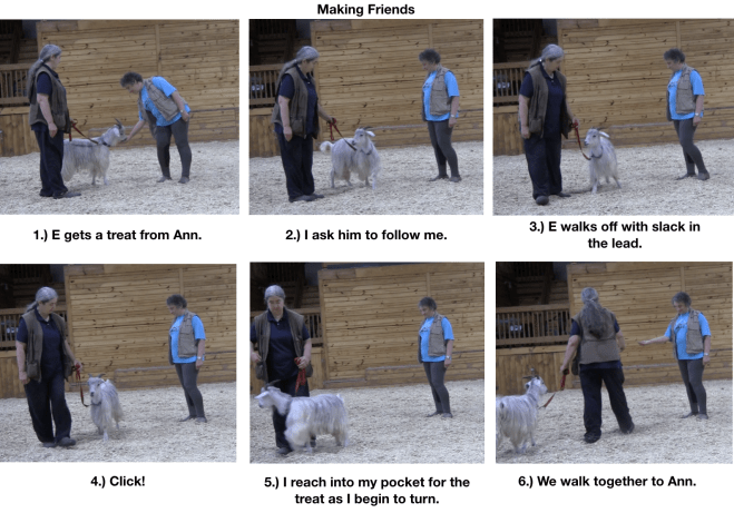 Goat diaries day 10 making friends panel 1.png