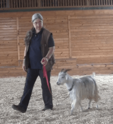 Goat Diaries Day 11 walk in park 1.png