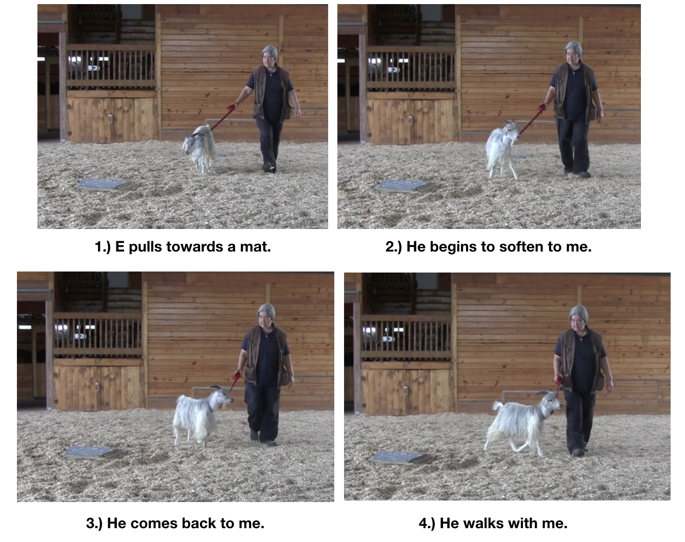 Goat diaries Day 12 e encounters mats 5.png