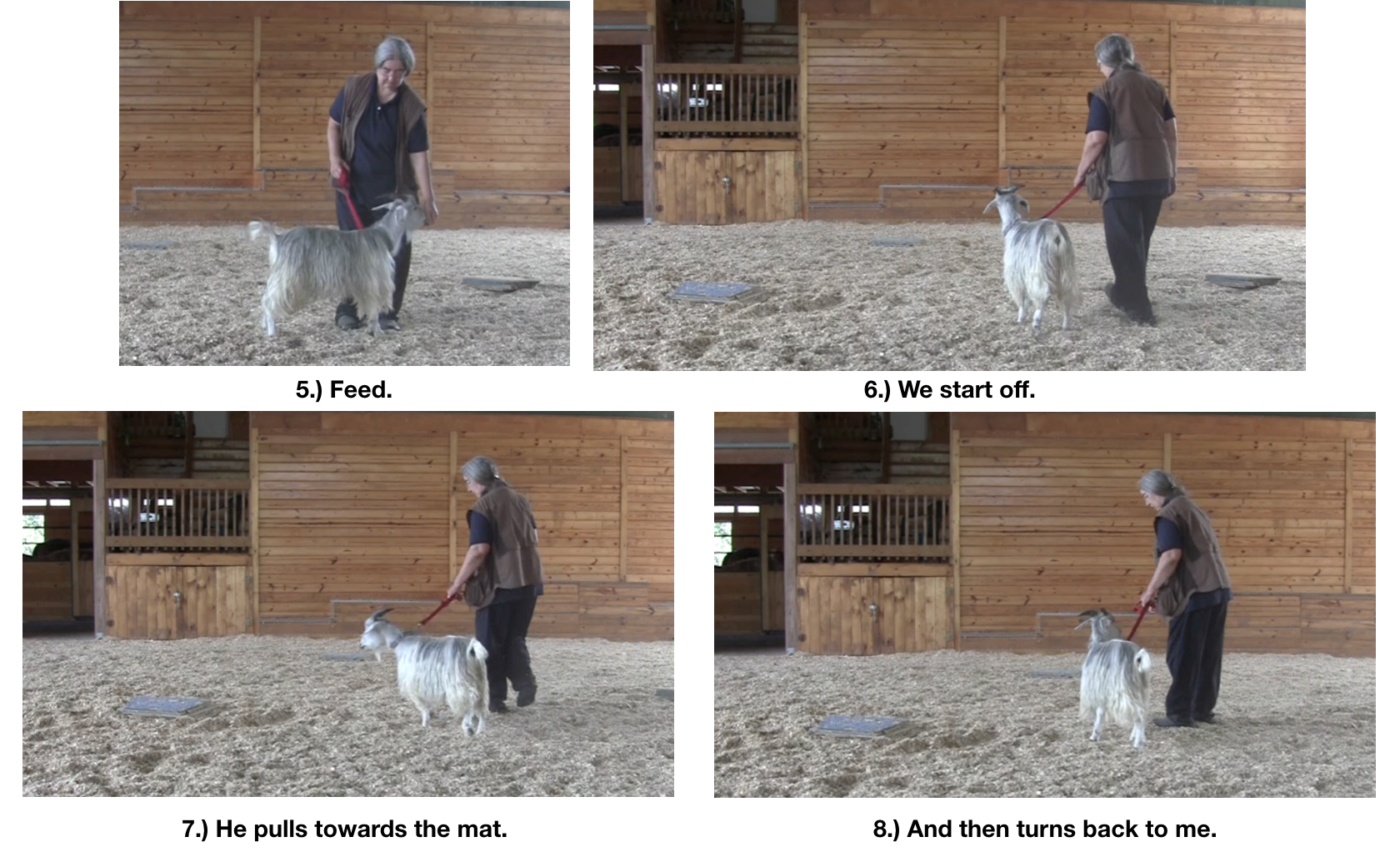 Goat diaries Day 12 e encounters mats 6.png