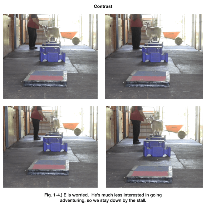 Goat Diaries day 6 contrast E panels 1-4.png