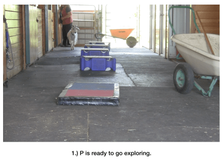 Goat Diaries Day 6 Fig. 1.png