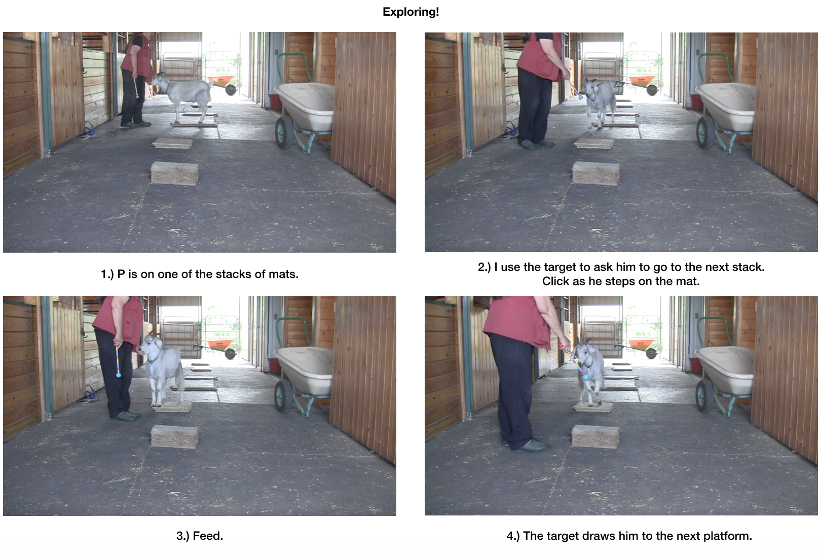 Goat Diaries day 7 P exploring panel 1.png