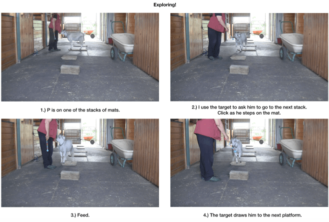 Goat Diaries day 7 P exploring panel 1.png