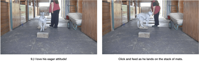 Goat Diaries day 7 P exploring panel 3.png