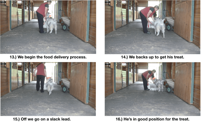 Goat Diaries day 7 P leads panel 4.png