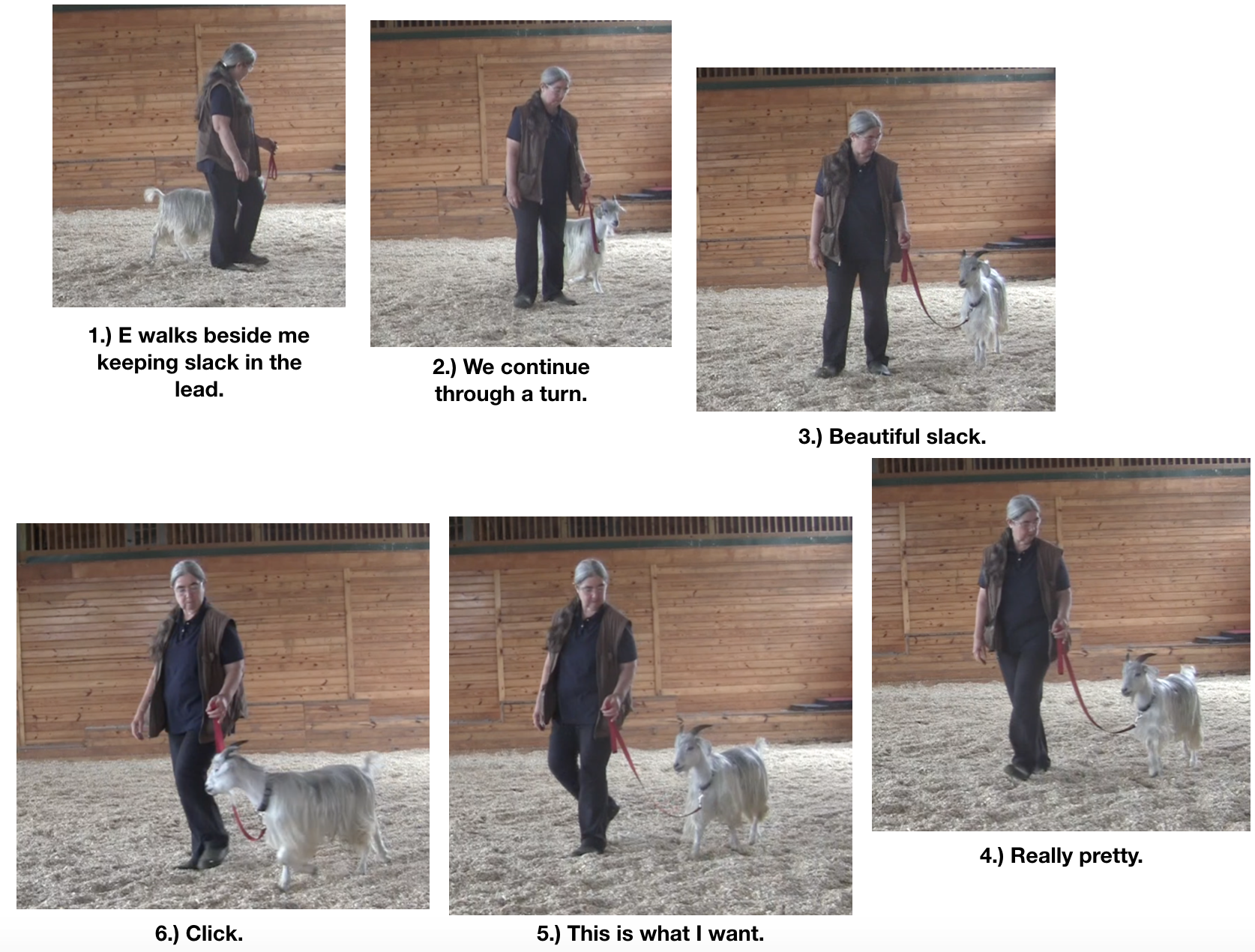 Goat Diaries Day 8 E leans well panel 1.png