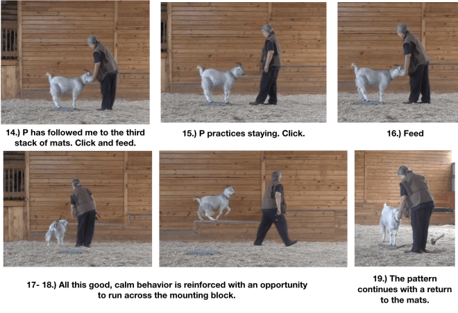 Goat Diaries Joy of being a goat 3.png