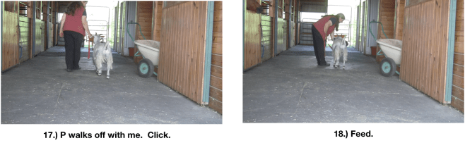 Goat diaries P Day 7 Manners emerging panel 5.png