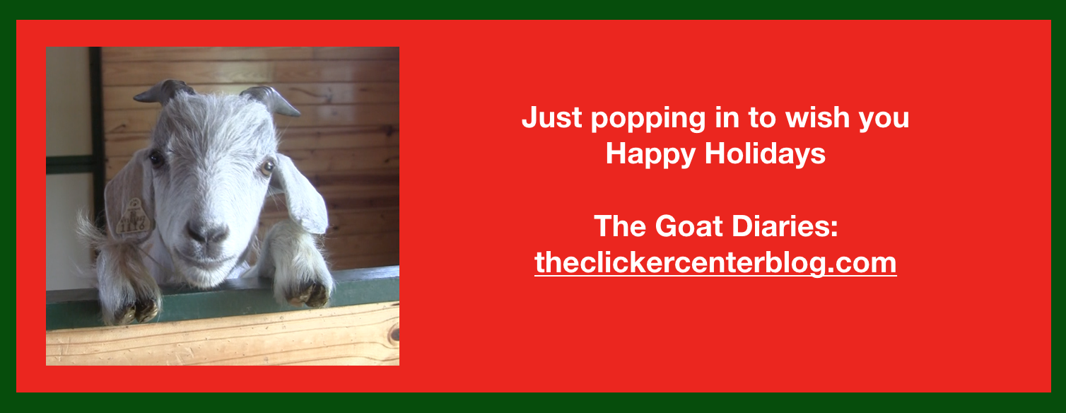 Goat Diaries Xmas banner  Single photo.png