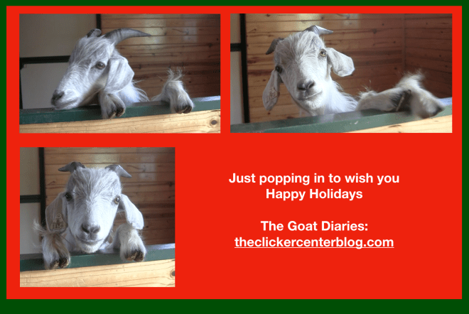 Goat Happy Holidays greeting