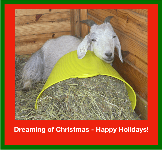 Goats - Dreaming of Christmas.png