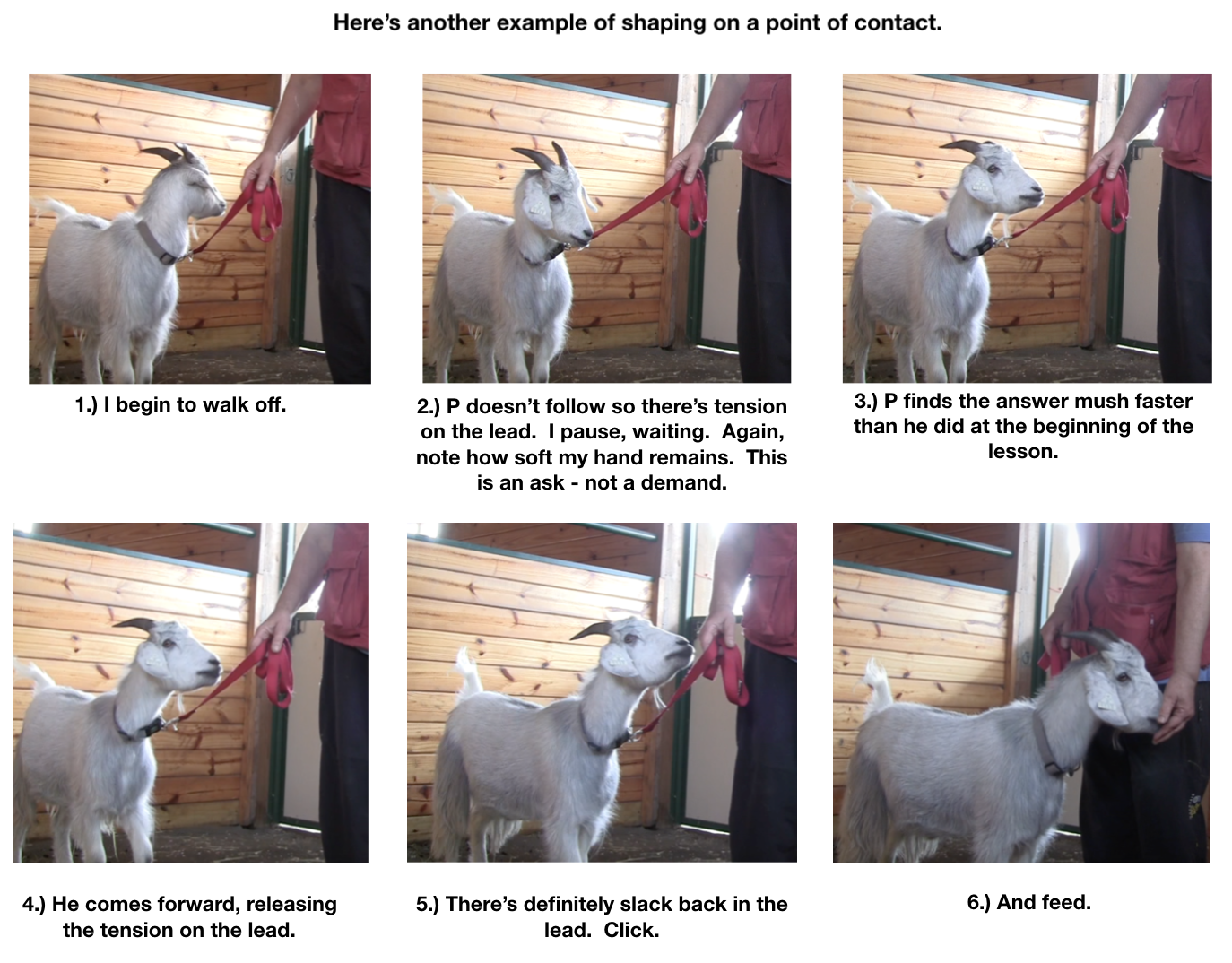 P learning to lead 6 panels.png