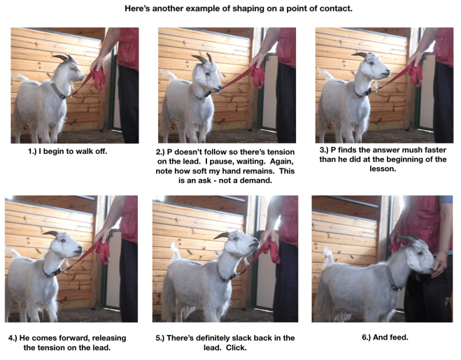 P learning to lead 6 panels.png