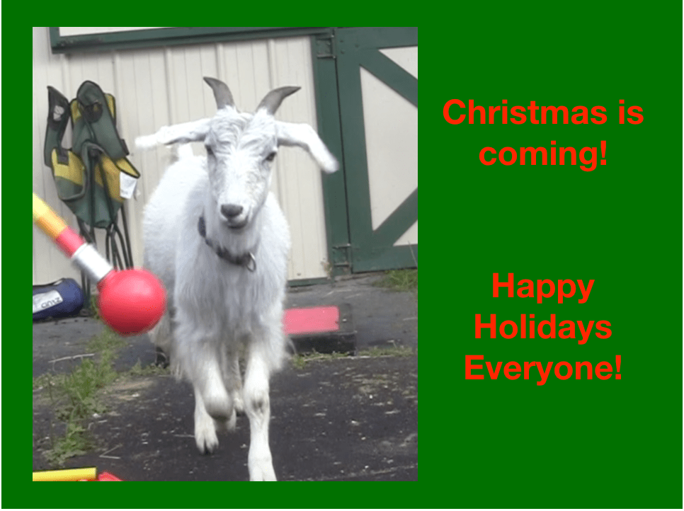 Pellias Christmas card.png