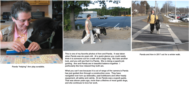 Ann Panda 3 photos scrabble, great walk, winter walk