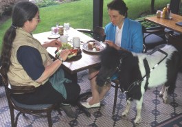 p46_PandaInRestaurantWithTrainerAlexandraKurlandOwnerAnnEdieNeilSoderstrom 343