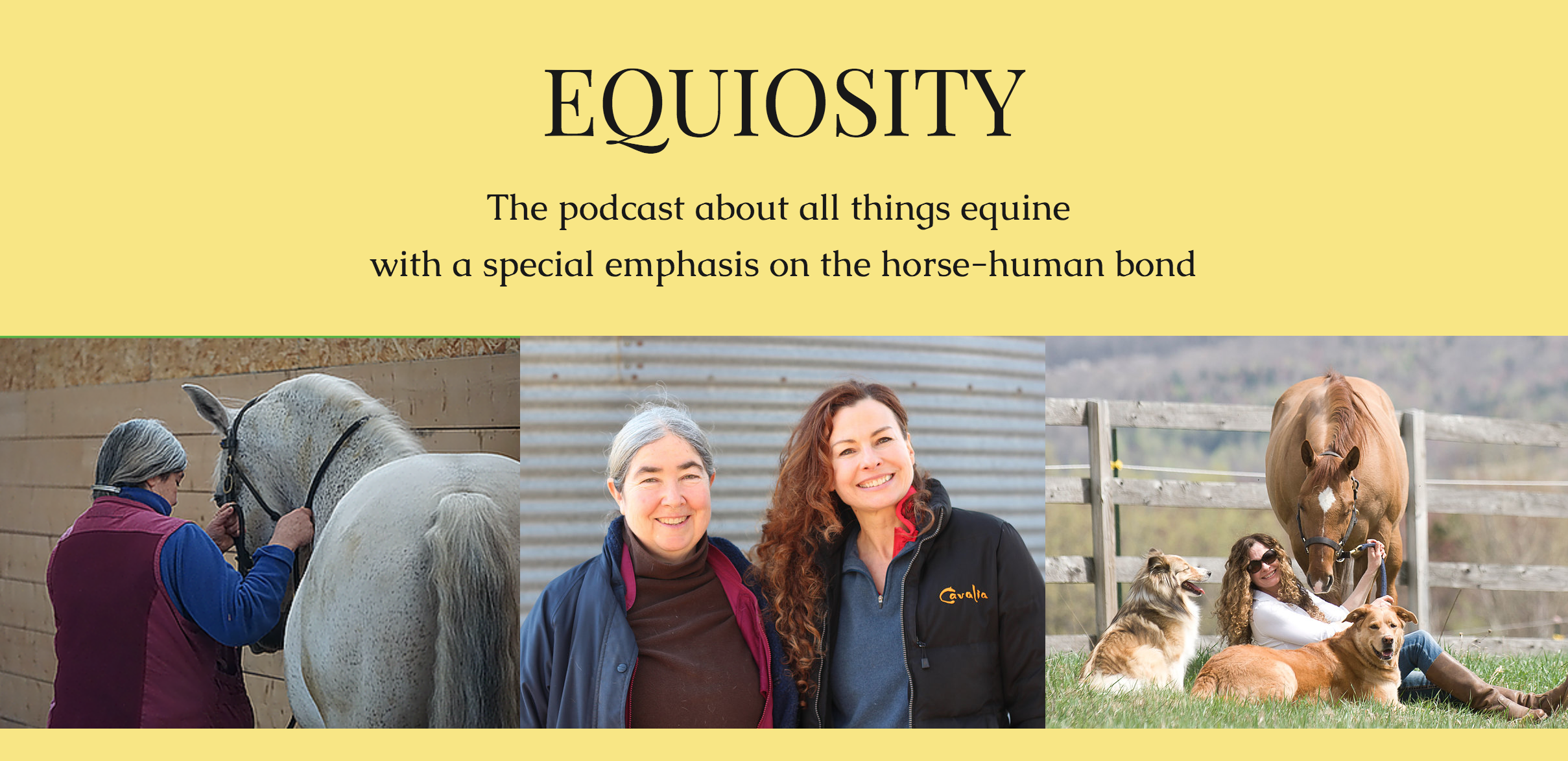 Equiosity banner for blog