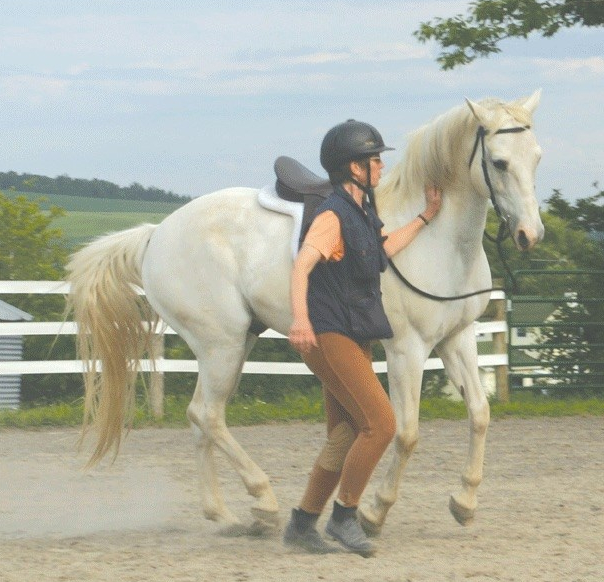 Lucky-canter-for-web