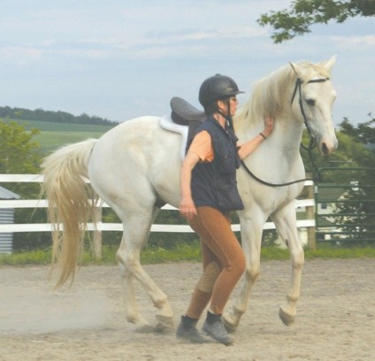 Lucky-canter-for-web