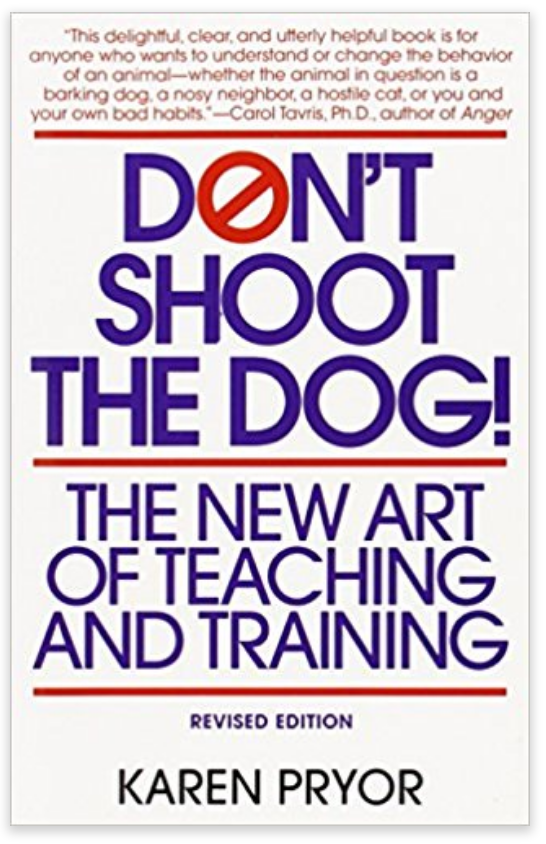 Don't Shoot the Dog
