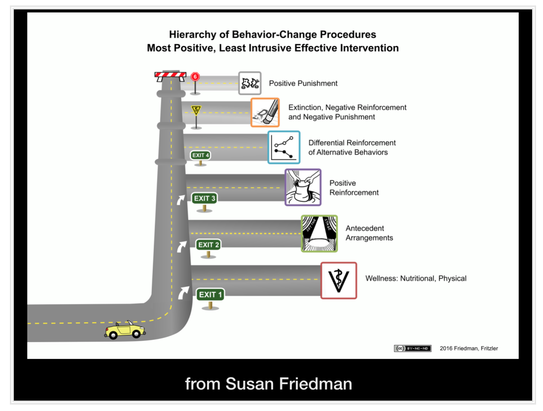 Susan Friedman's hierarchy