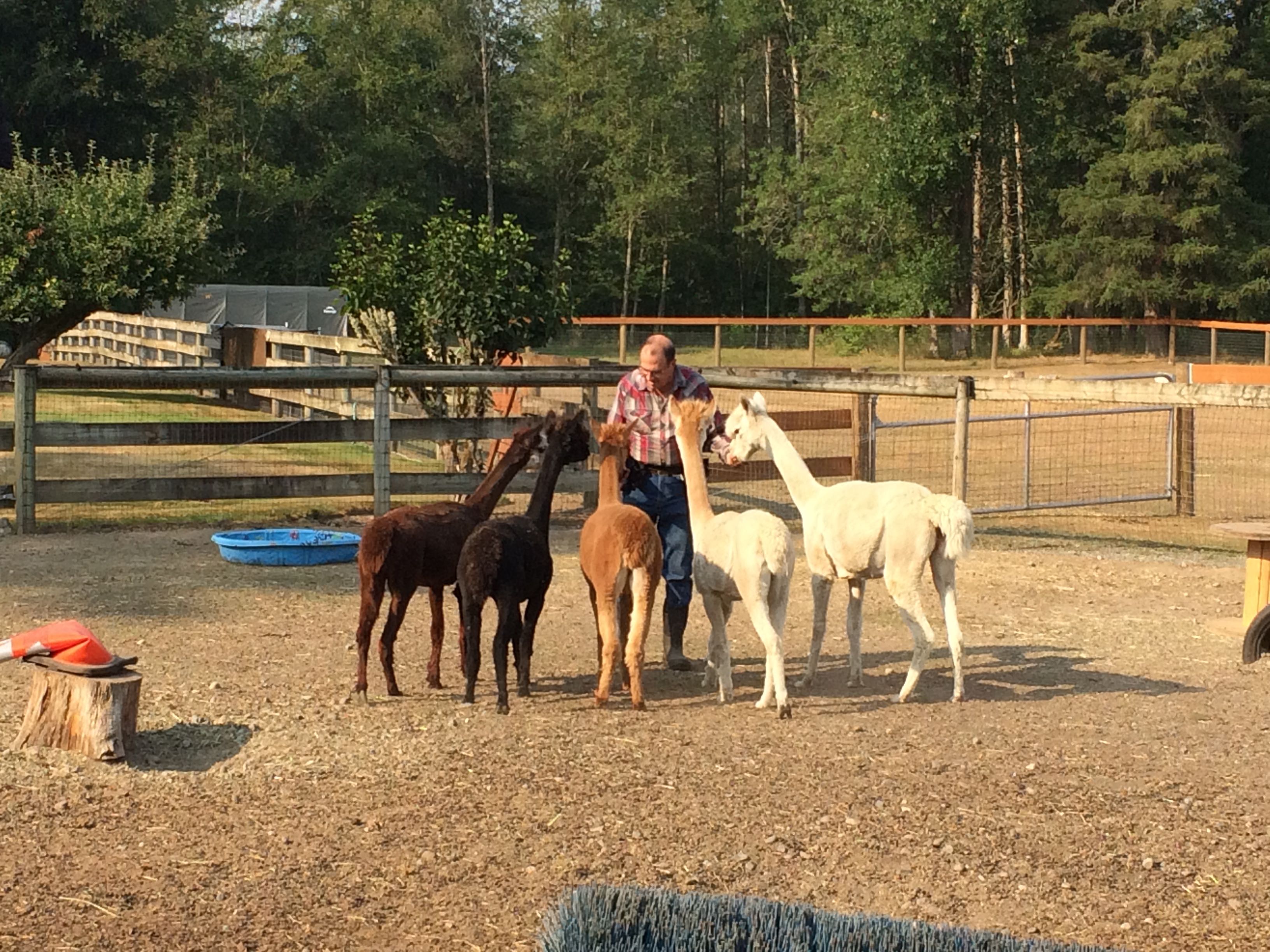 IMG_5425 Ken Ramirez with alpacas