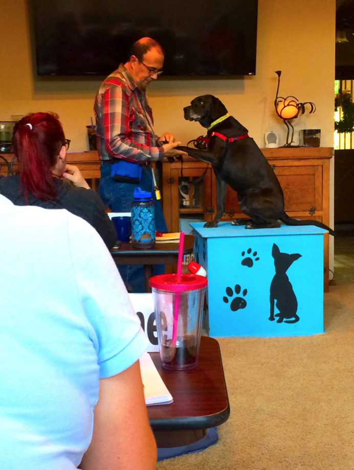 Ken Ramirez teaching husbandry behaviors