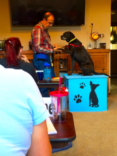 Ken Ramirez teaching husbandry behaviors