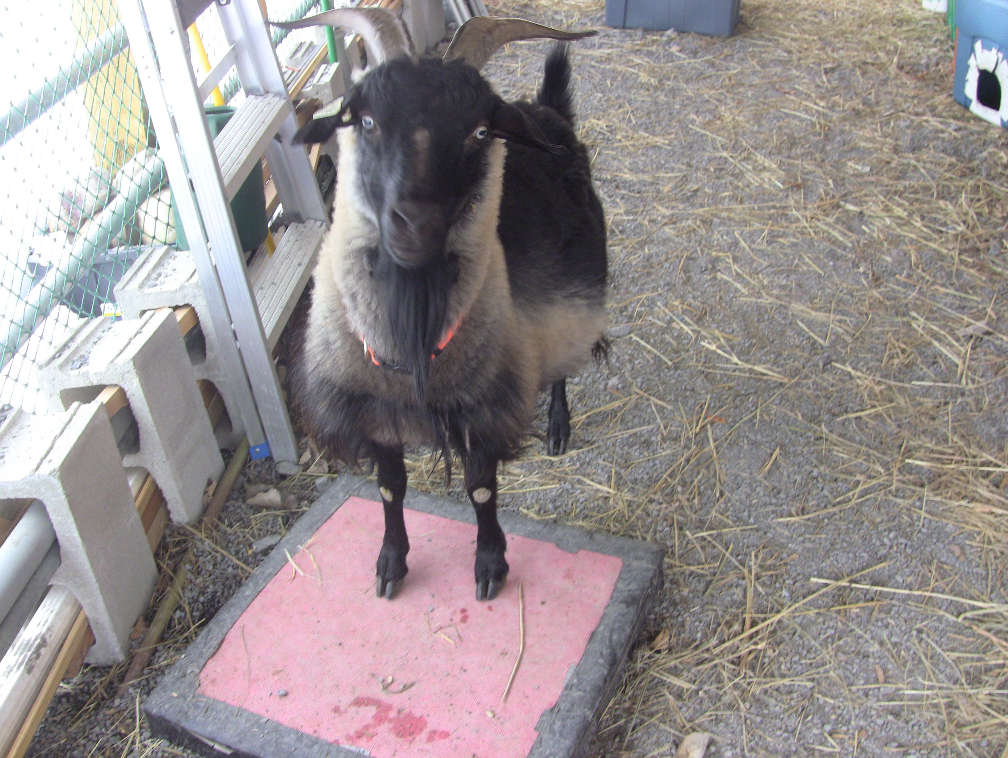 IMG_2175 Thanzi March 2018