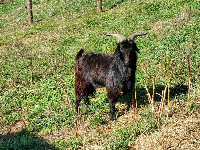 20190927_145222 Valor