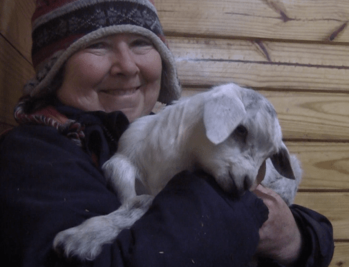 Thistle Thaddeus 1:10:19 1