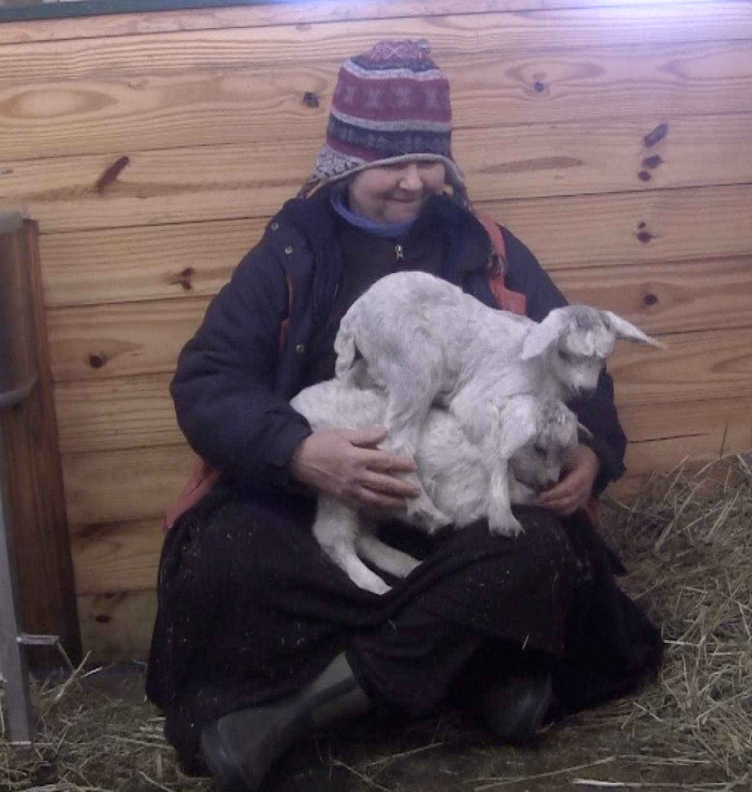 Thistle Thaddeus 1:10:19 12