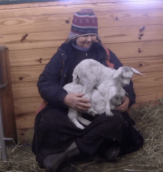 Thistle Thaddeus 1:10:19 12