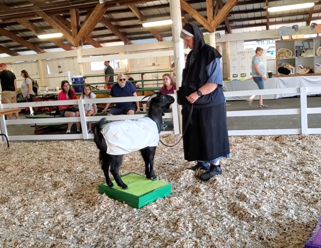 Verity at fair 8:19 2