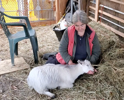 Wren chin resting in hand